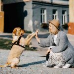Most Affectionate Dog Breeds