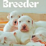 Dog Breeder ID