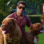 Salman Khan Dog Breeds