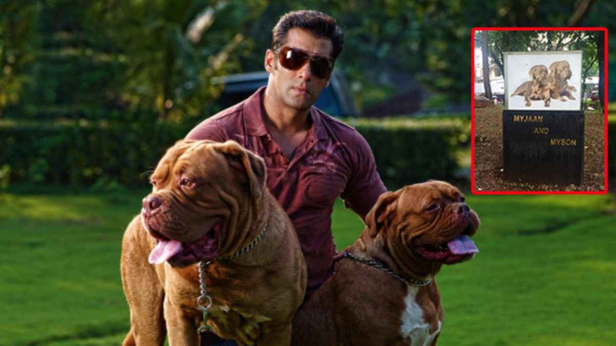 Salman Khan Dog Breeds